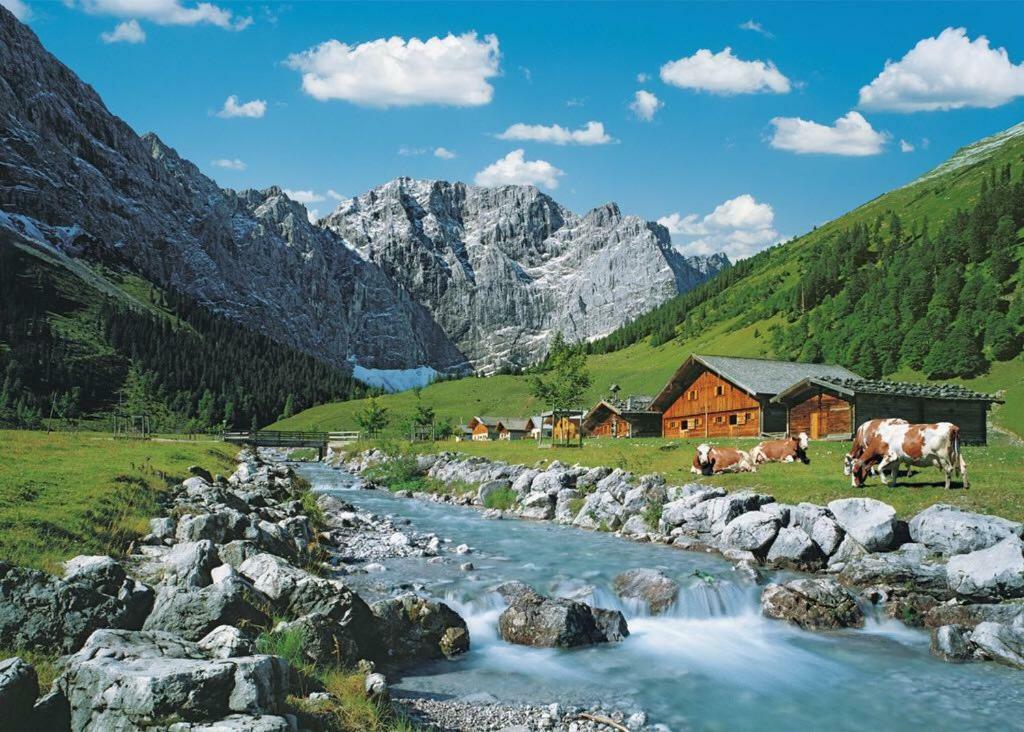 Appartmenthaus Birkenwald Seefeld w Tirolu Zewnętrze zdjęcie