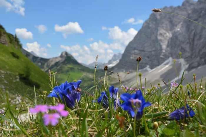 Appartmenthaus Birkenwald Seefeld w Tirolu Zewnętrze zdjęcie