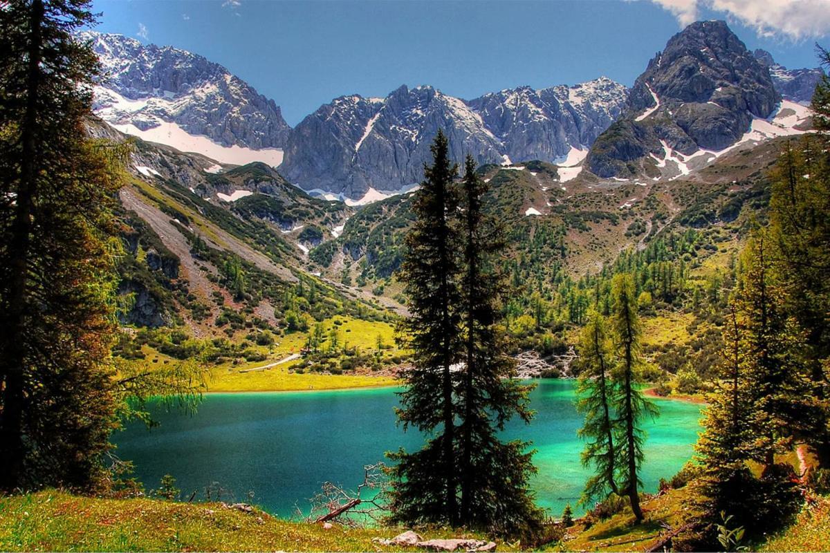 Appartmenthaus Birkenwald Seefeld w Tirolu Zewnętrze zdjęcie