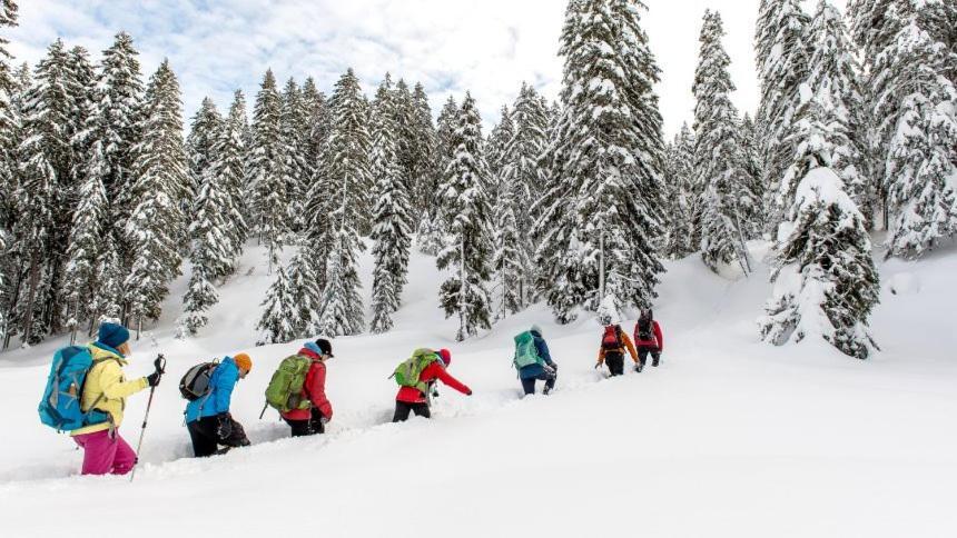 Appartmenthaus Birkenwald Seefeld w Tirolu Zewnętrze zdjęcie